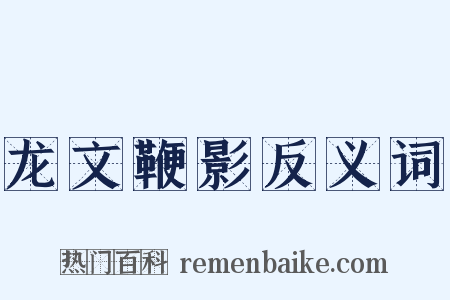 龙文鞭影反义词是什么意思的图片